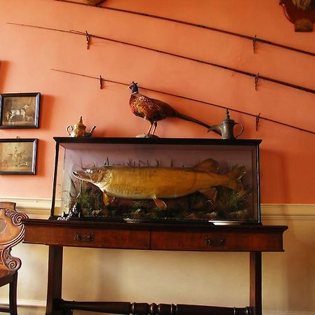Enniscoe House Otel Crossmolina Dış mekan fotoğraf