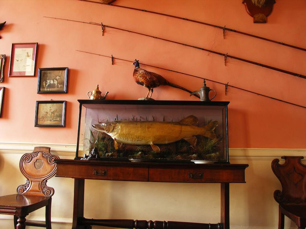 Enniscoe House Otel Crossmolina Dış mekan fotoğraf